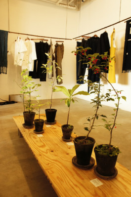 石徹白洋品店 - ブログアーカイブ