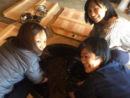 石徹白洋品店 - ブログアーカイブ