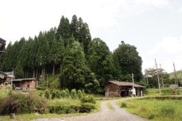 石徹白洋品店 - ブログアーカイブ