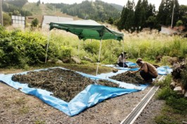 石徹白洋品店 - ブログアーカイブ