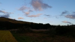 石徹白洋品店 - ブログアーカイブ