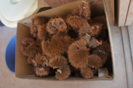 石徹白洋品店 - ブログアーカイブ