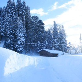 石徹白洋品店 - ブログアーカイブ