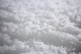 石徹白洋品店 - ブログアーカイブ