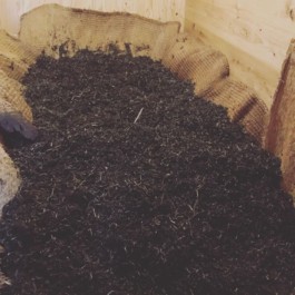 石徹白洋品店 - ブログアーカイブ