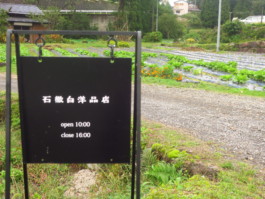 石徹白洋品店 - ブログアーカイブ