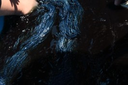 石徹白洋品店 - ブログアーカイブ