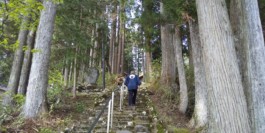 石徹白洋品店 - ブログアーカイブ