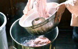 石徹白洋品店 - ブログアーカイブ